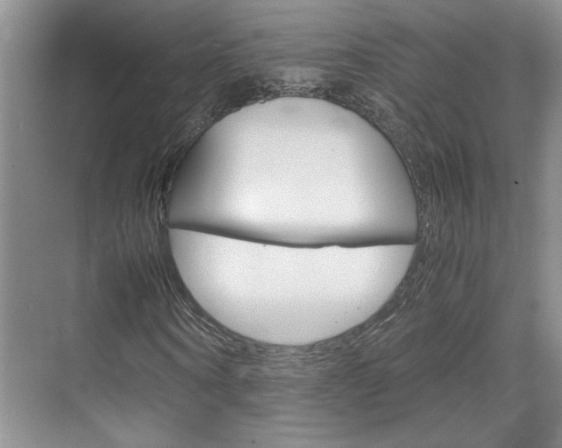 X0000071840866200606301101