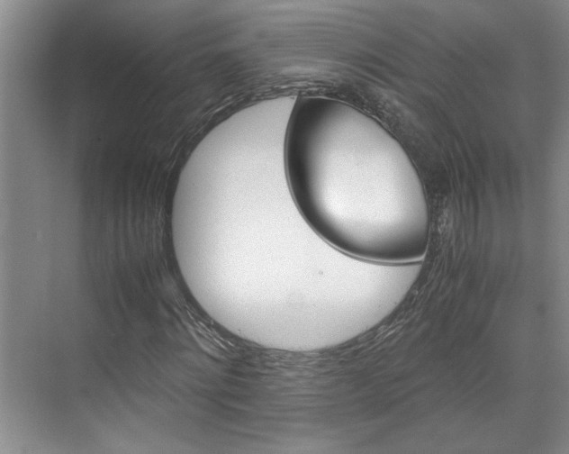 X0000071840868200606301101