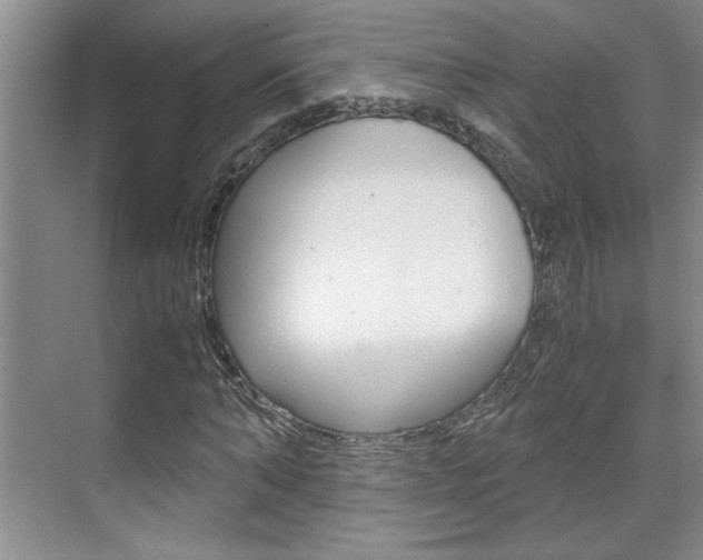 X0000071840870200606301101
