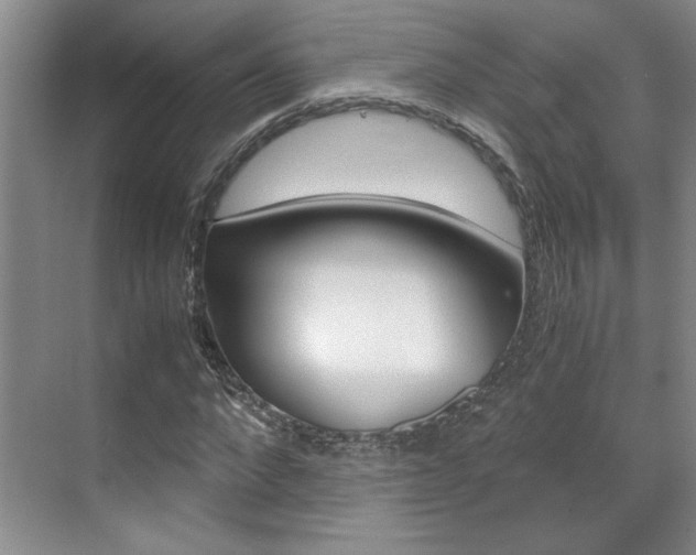 X0000071840872200606301101