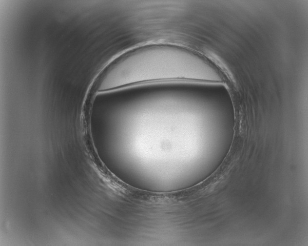 X0000071840876200606301101