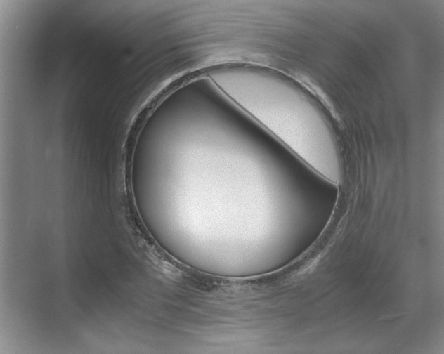 X0000071840877200606301101
