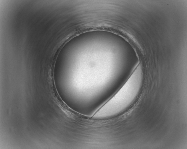 X0000071840881200606301101