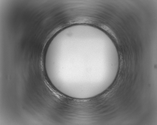 X0000071840882200606301101