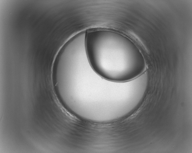X0000071840884200606301101