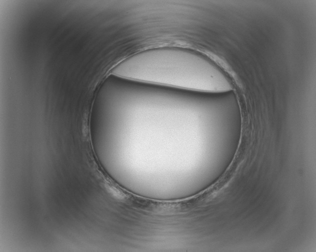 X0000071840889200606301101