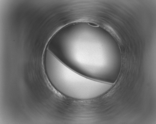 X0000071840900200606301101