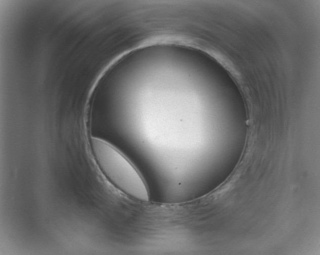 X0000071840912200606301100