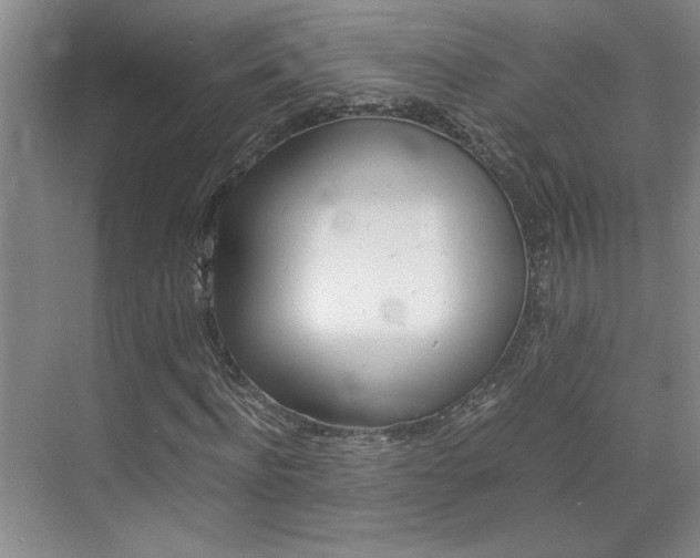 X0000071840916200606301100