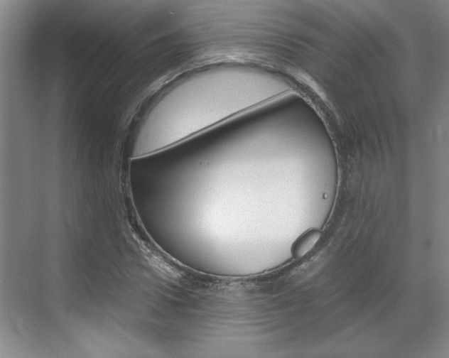 X0000071840922200606301100