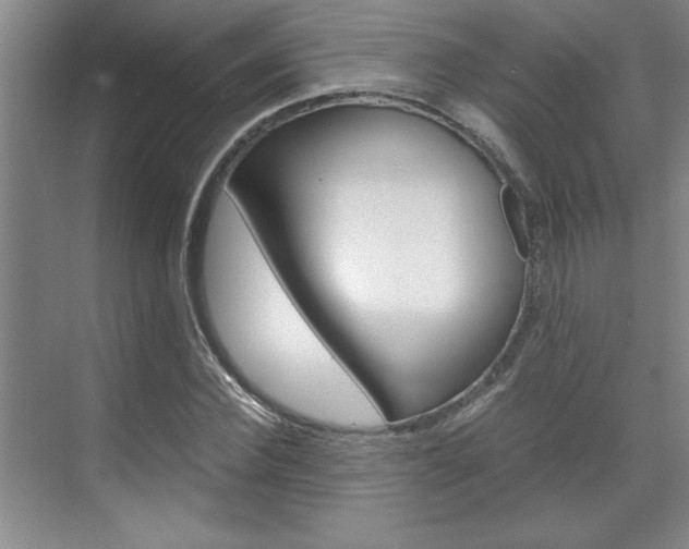X0000071840924200606301100