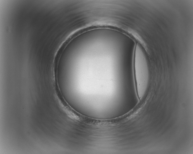 X0000071840934200606301100
