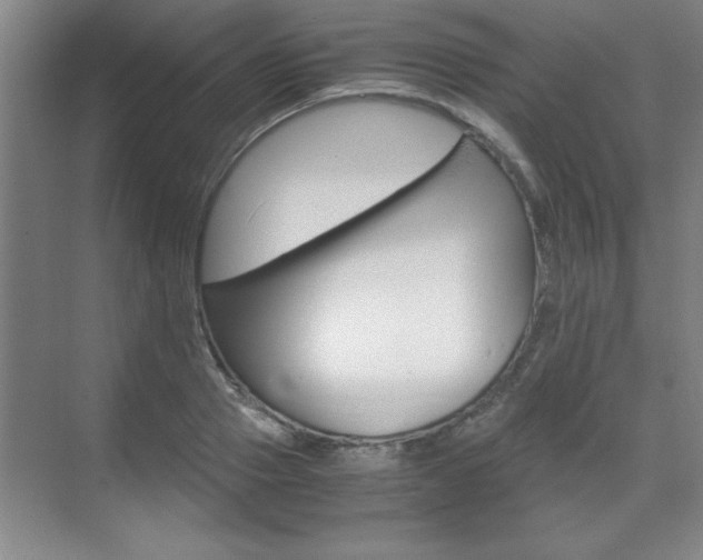 X0000071840937200606301100