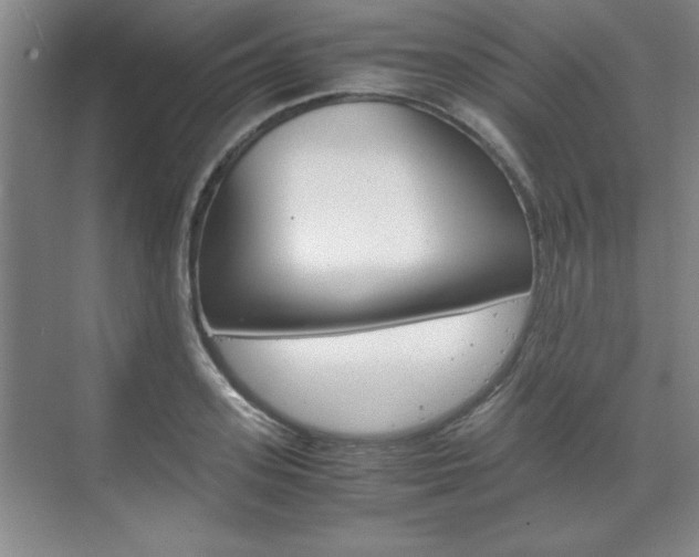 X0000071840939200606301100