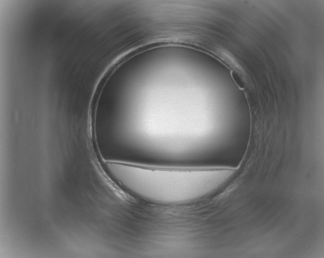 X0000071840940200606301100