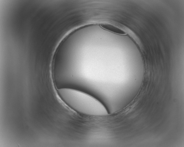 X0000071840958200606301100