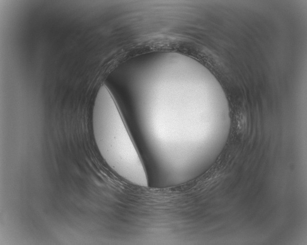 X0000071840964200606301059