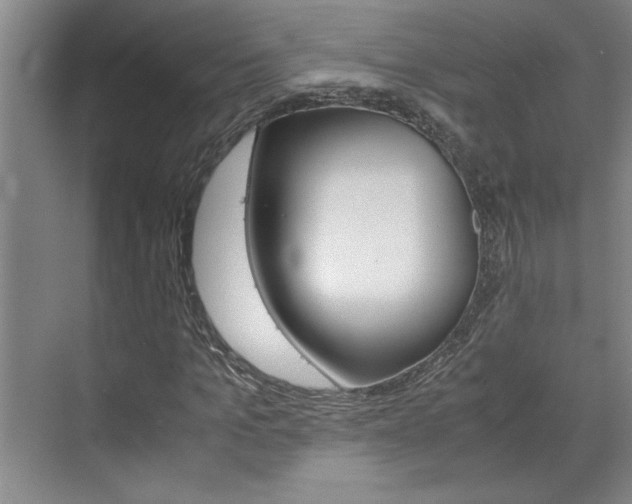 X0000071840965200606301059