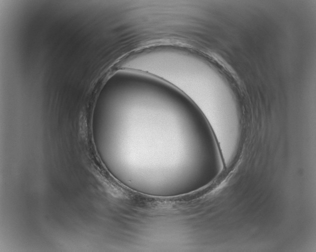 X0000071840969200606301059