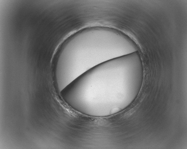 X0000071840974200606301059