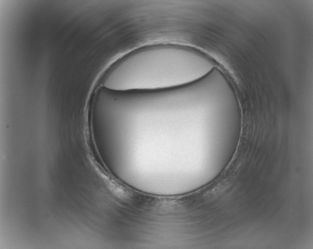 X0000071840982200606301059