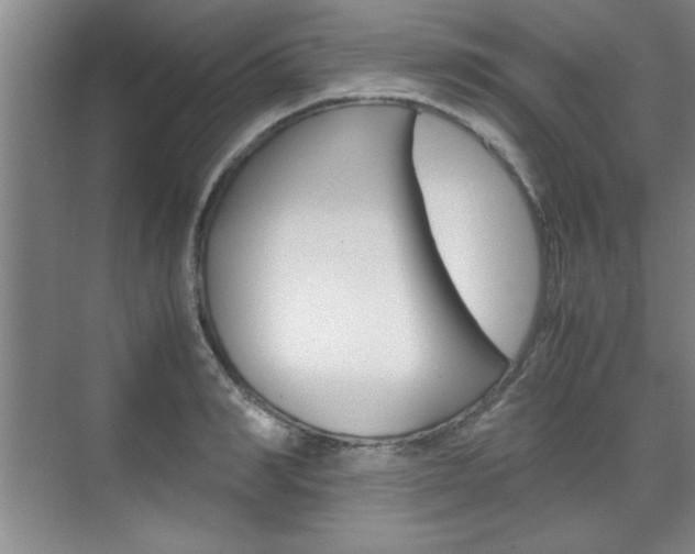 X0000071840990200606301059