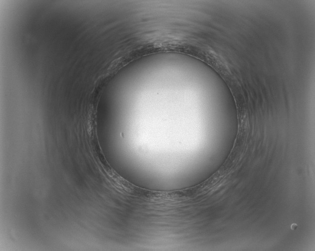 X0000071841012200606301058