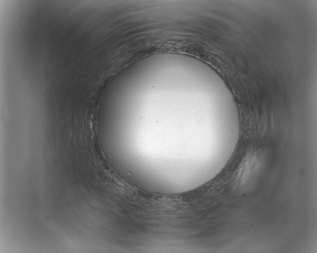 X0000071841013200606301058