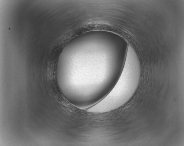 X0000071841014200606301058