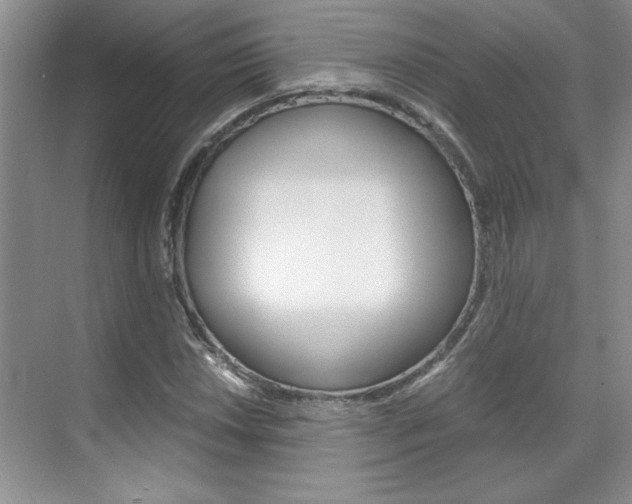 X0000071841018200606301058