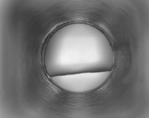 X0000071841023200606301058