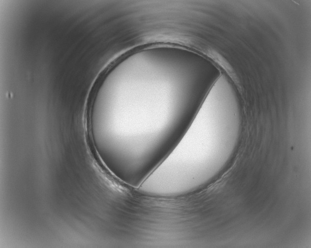 X0000071841028200606301058