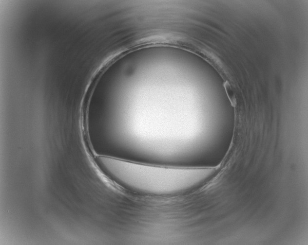 X0000071841034200606301058