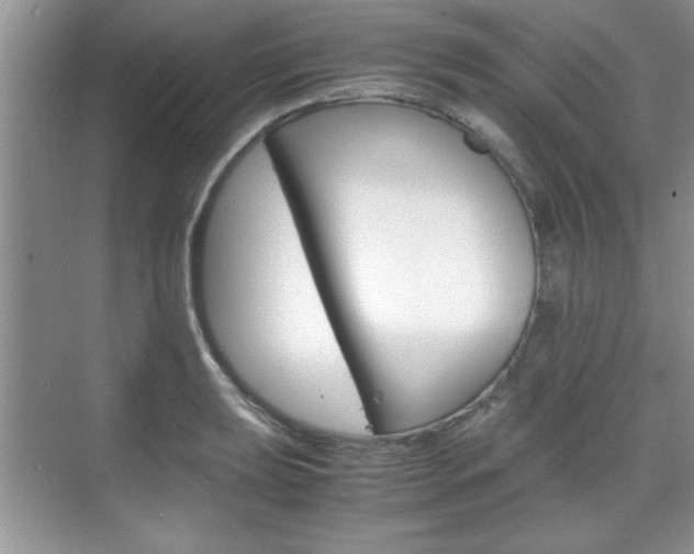 X0000071841039200606301058
