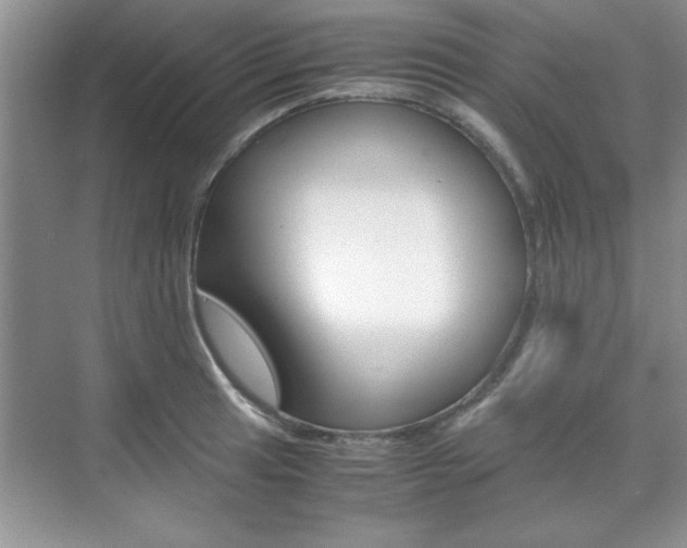 X0000071841041200606301058