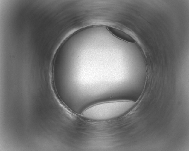 X0000071841048200606301059