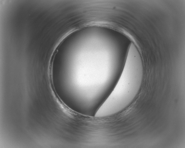 X0000071841050200606301059