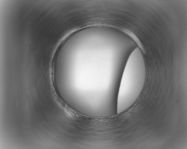 X0000071841051200606301059