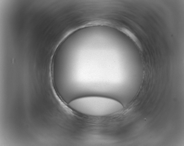 X0000071841055200606301059