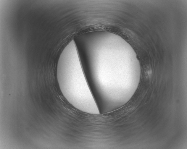 X0000071841060200606301058