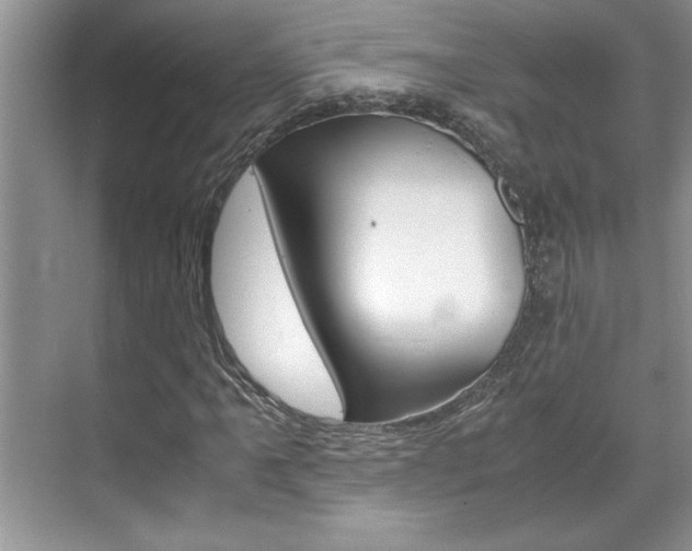 X0000071841061200606301058