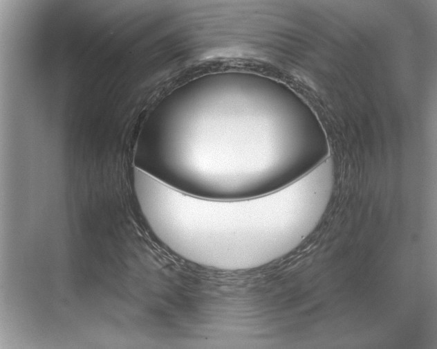 X0000071841062200606301058