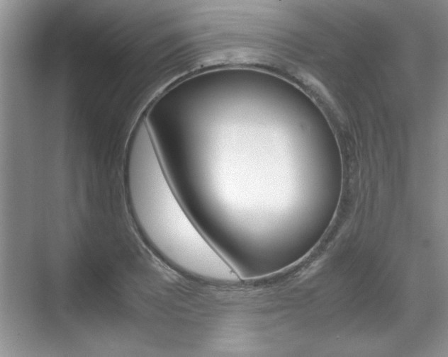X0000071841081200606301058