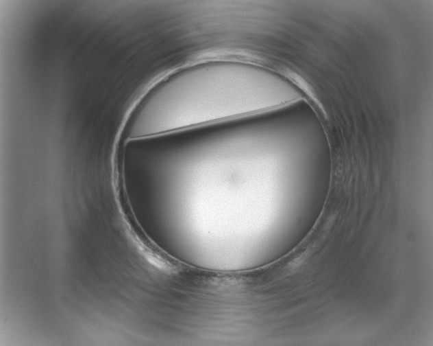 X0000071841082200606301058