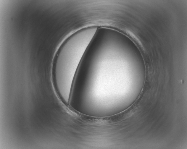 X0000071841085200606301057