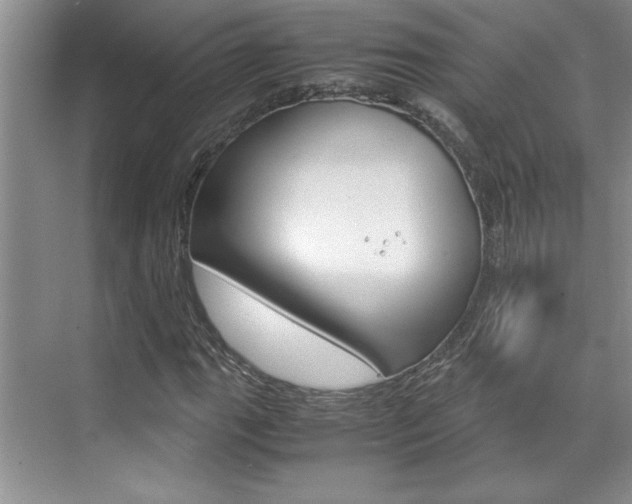 X0000071841111200606301056