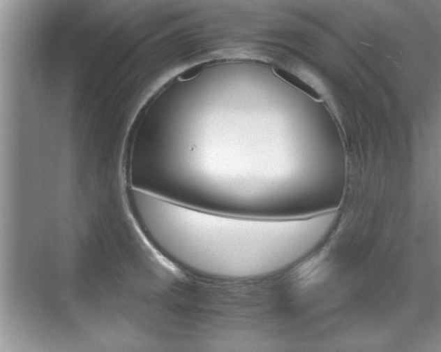 X0000071841141200606301057