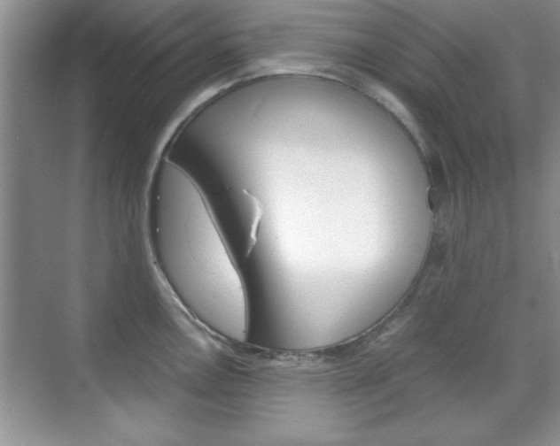 X0000071841146200606301057