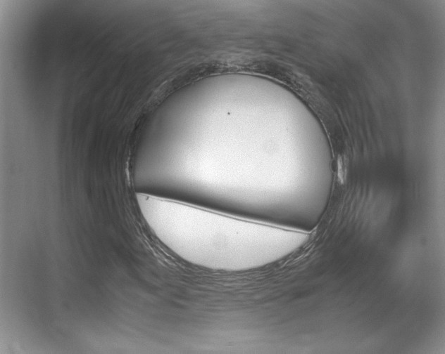 X0000071841155200606301056