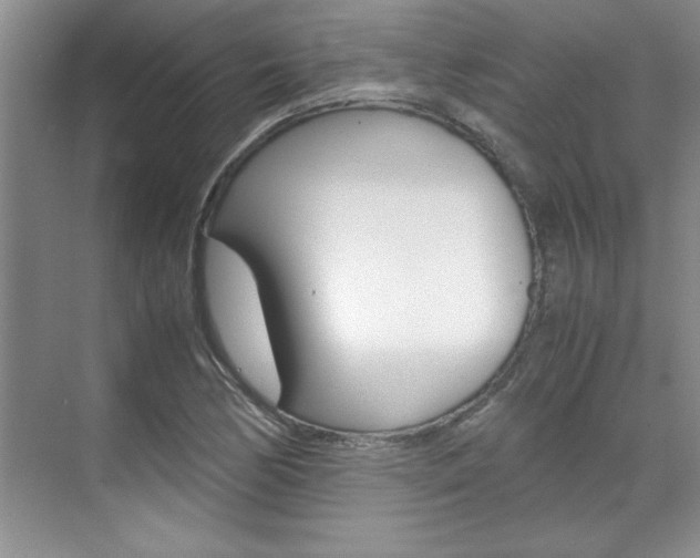X0000071841170200606301056